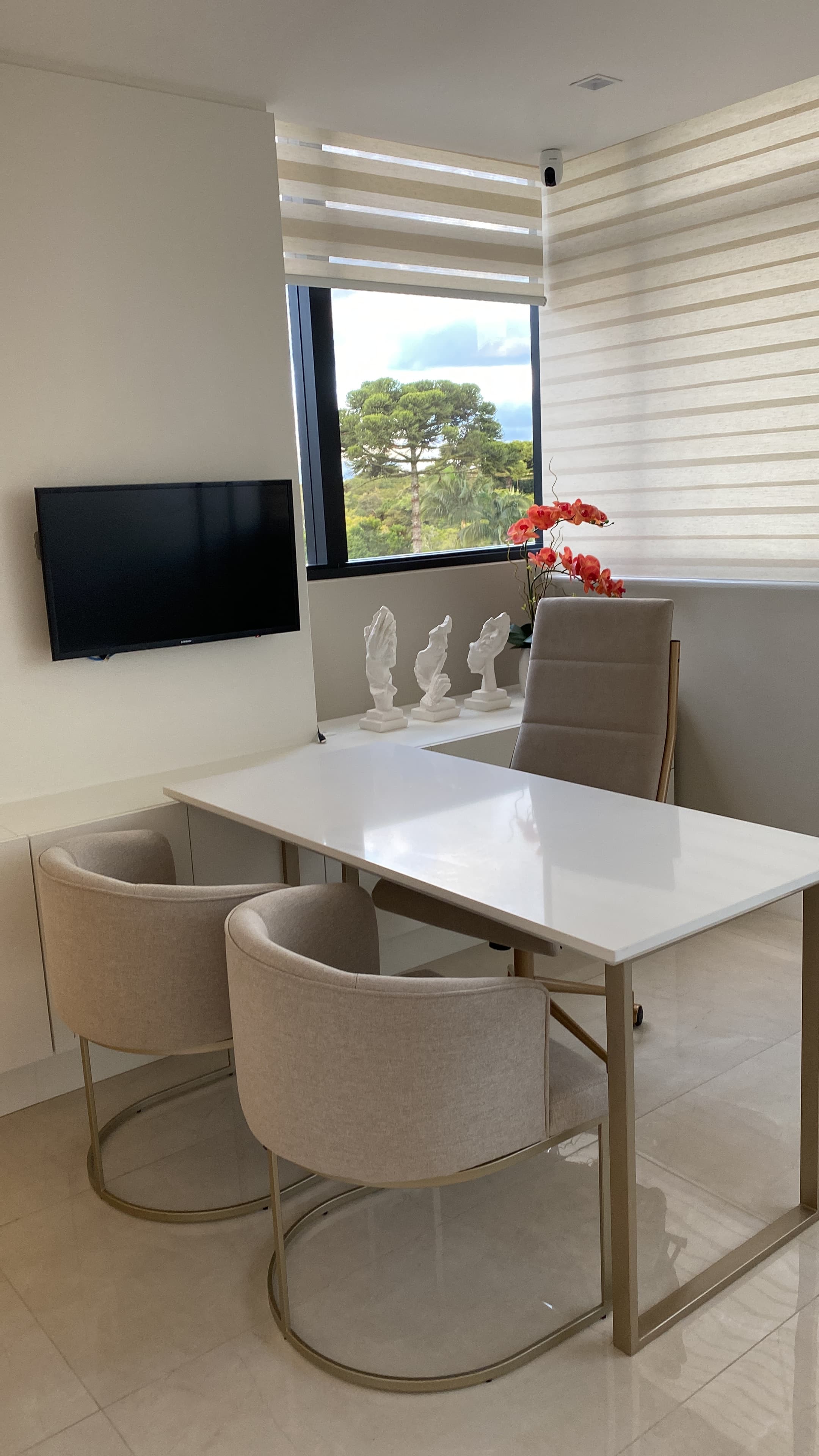 Consultório Ecoville — sala de atendimento